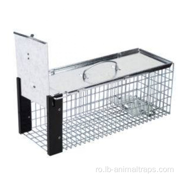 Live Mouse Cage Plastic Mouse Capcan Humane